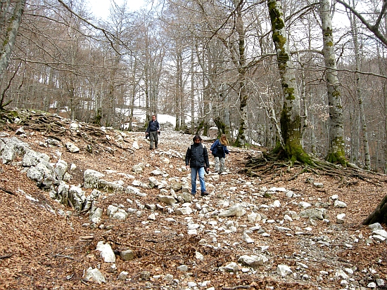 Escursione Parco Nazionale d''Abruzzo